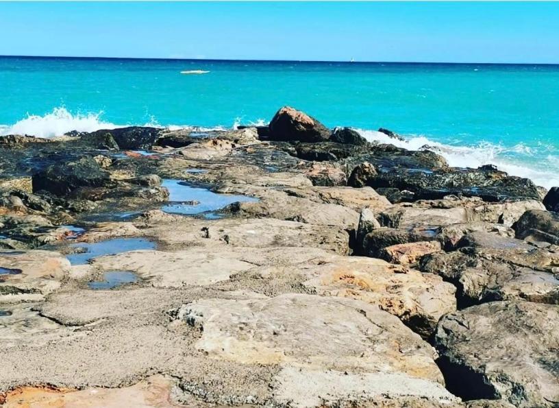 MoncófarMagnifico Piso Con Vistas Al Mar En Moncofaアパートメント エクステリア 写真